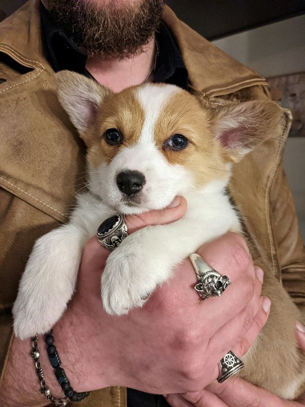 Bijoux d'inspiration médiévale fantastique : Osez la magie !