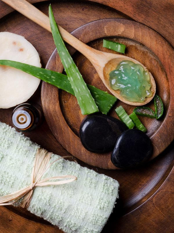 10 raisons d'intégrer l'aloe vera dans vos soins du corps